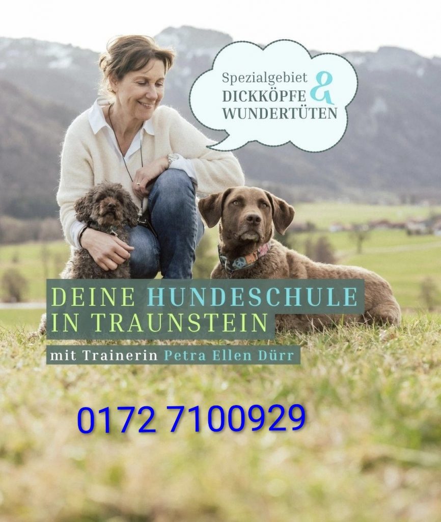 hundeschule traunstein
